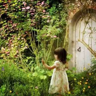 Echanted garden wallpaper