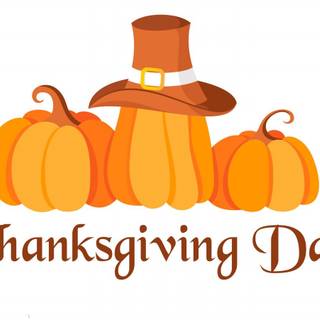 Pumpkins for Thanksgiving wallpaper