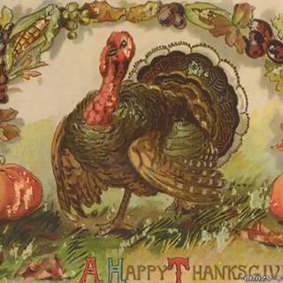 Thanksgiving pilgrim wallpaper