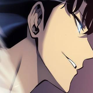 Solo Leveling anime wallpaper