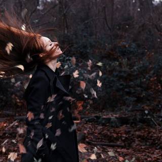 Autumn wind wallpaper