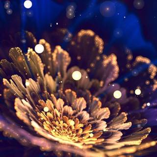 Beautiful smart wallpaper