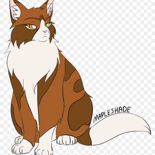 Mapleshade wallpaper