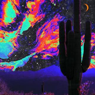 Aesthetic cactus profile pic wallpaper