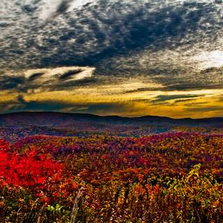 Autumn sunrise wallpaper