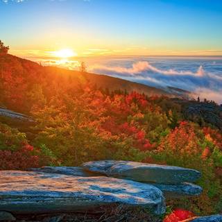 Autumn sunrise wallpaper