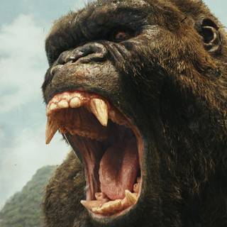 Kong: Skull Island movie characters wallpaper