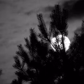 Scary plants wallpaper