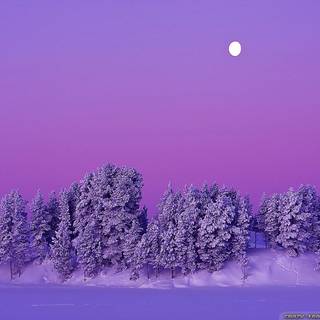 Full moon winter wallpaper