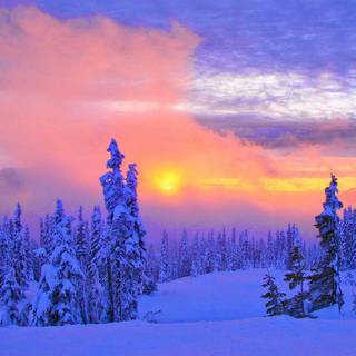 Scenic winter wallpaper