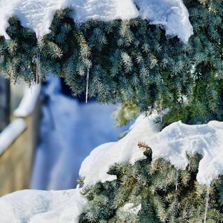 Aesthetic Christmas Chromebook wallpaper