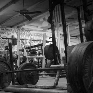 Working out wallpaper