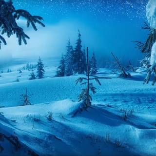 Calm winters wallpaper