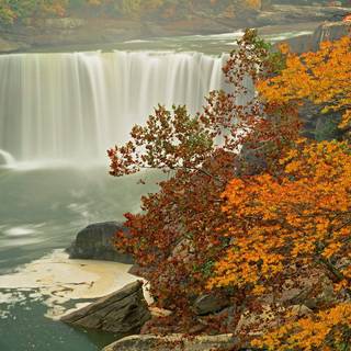 Autumn animated wallpaper