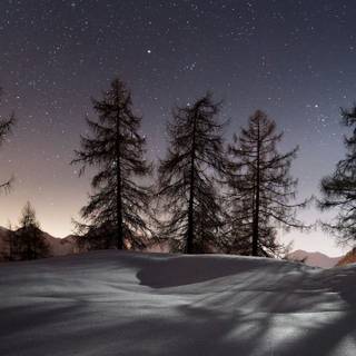 Winter 3440x1440 wallpaper