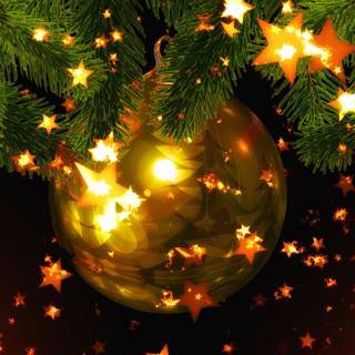 Bright Christmas trees wallpaper