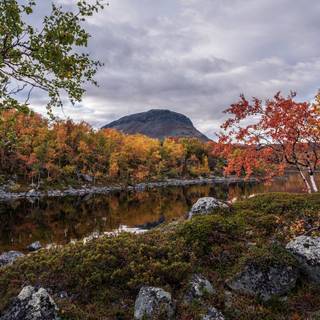 Autumn wonderland wallpaper