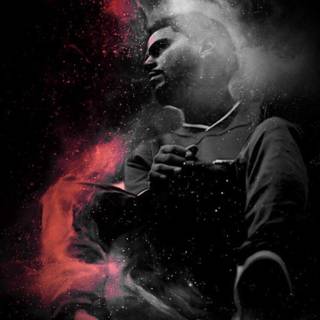 2014 Forest Hill Drive wallpaper