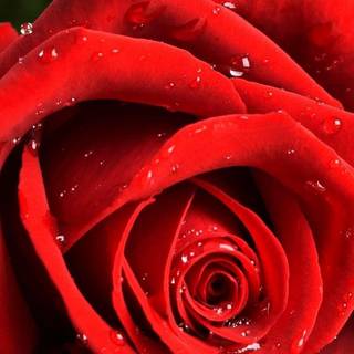 Different beautiful mobile wallpaper