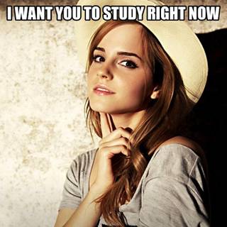 Hermione memes wallpaper