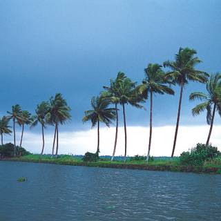 Alappuzha wallpaper