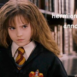 Hermione memes wallpaper