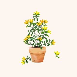 Cute aesthetic plant wallpaper