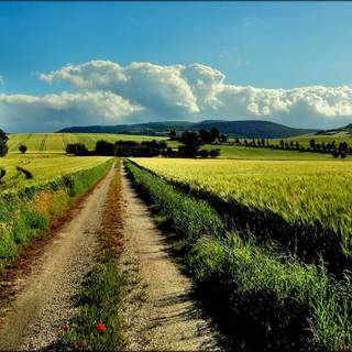 Country road desktop wallpaper