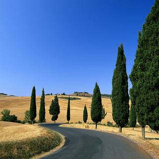 Country road desktop wallpaper