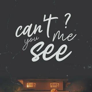 You Can't See Me wallpaper