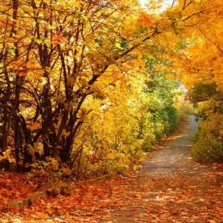 Beautiful autumn landscape HD wallpaper