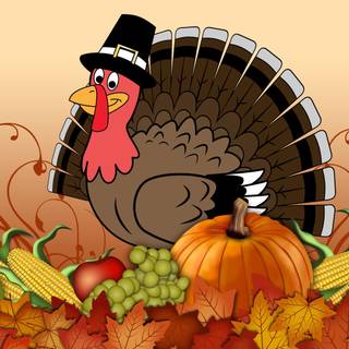 Cute turkey wallpaper