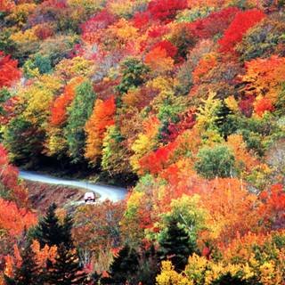 Autumnal panorama wallpaper