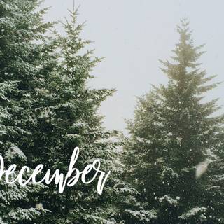 Aesthetic Christmas computer wallpaper