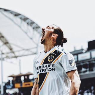 Zlatan mobile wallpaper
