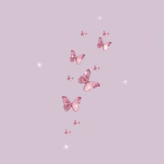 Cute butterfly baby pink wallpaper