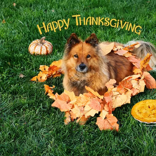 Thanksgiving page wallpaper