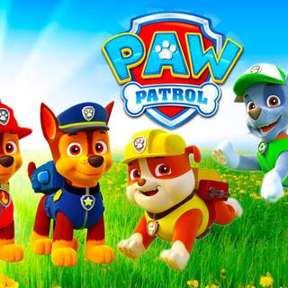 Chase Paw Patrol wallpaper