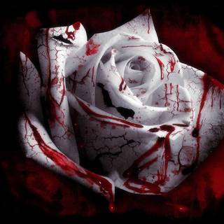 Scary but cute wallpaper