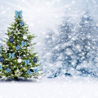 Christmas tree with snow on it wallpaper