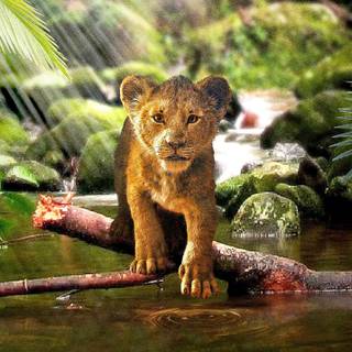 The Lion King Ultra HD wallpaper