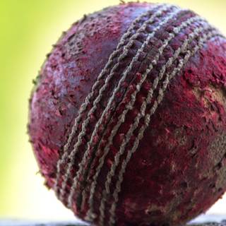 Cricket lover wallpaper