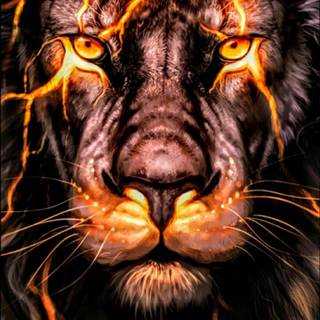 Lion vs tiger wallpaper