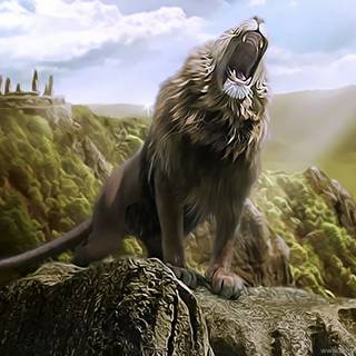 Lion vs tiger wallpaper