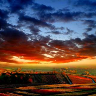 Field in autumn wallpaper