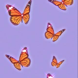 Autumn aesthetic butterfly wallpaper