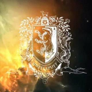 iPhone Hogwarts Houses wallpaper