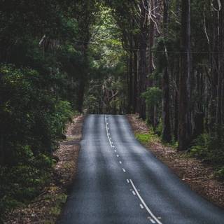 Amazing mountain road wallpaper