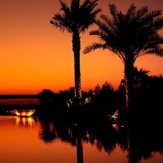 Black and orange iPhone wallpaper