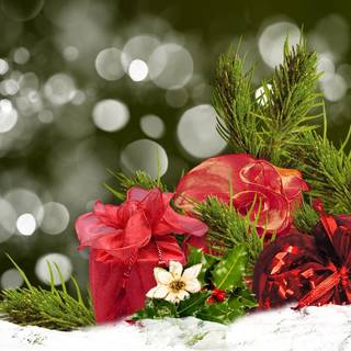 Christmas floral wallpaper